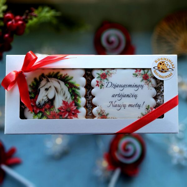 Naujametinis rinkinys NR. 2