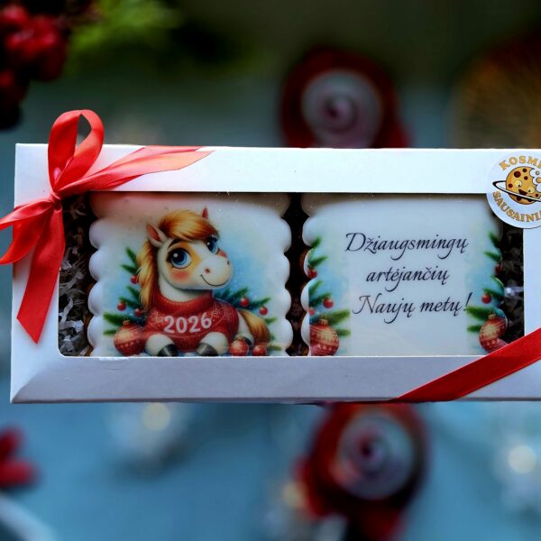 Naujametinis rinkinys NR. 1